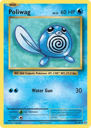 Poliwag - 023/108 - Common