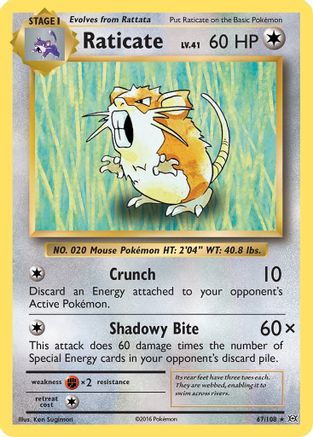 Raticate - 067/108 - Rare - Reverse Holofoil