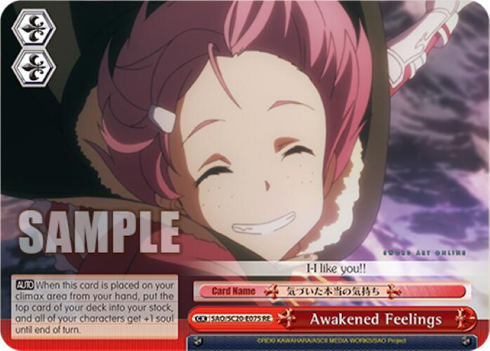 Awakened Feelings [Sword Art Online Chronicle Set]