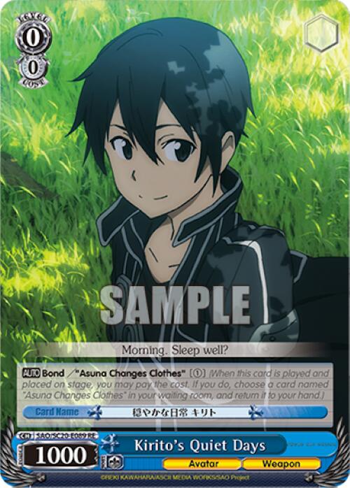 Kirito's Quiet Days [Sword Art Online Chronicle Set]