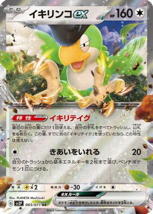 Squawkabilly ex (Japanese) - 065/071 - Double Rare