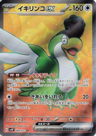Squawkabilly ex (Japanese) - 089/071 - Super Rare
