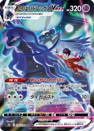 Shadow Rider Calyrex VMAX (Japanese) - 236/184 - Character Super Rare