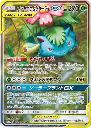 Venusaur & Snivy GX (Japanese) - 066/064 - Super Rare