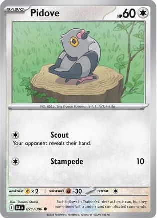 Pidove - 071/086 - Common