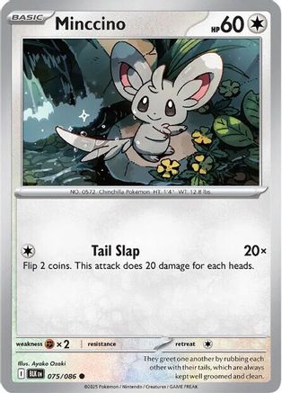 Minccino - 075/086 - Common