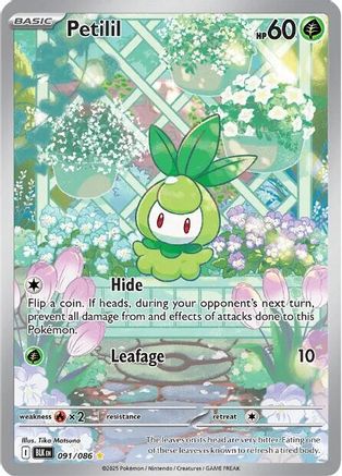 Petilil - 091/086 - Illustration Rare