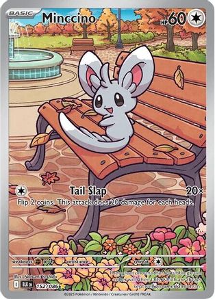Minccino - 152/086 - Illustration Rare