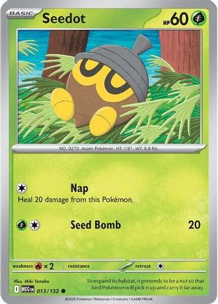 Seedot - 013/132 - Common - Reverse Holofoil