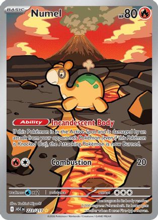 Numel - 223/217 - Illustration Rare - Holofoil