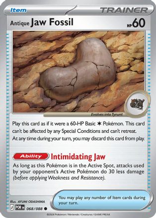 Antique Jaw Fossil - 068 - Common