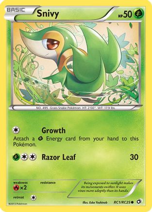 Snivy - RC1 - Common - Holofoil